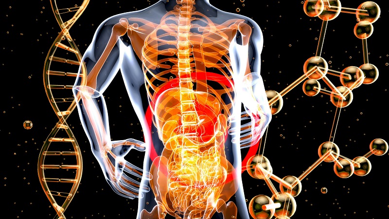 منتجات D-Tagatose كمواد حيوية تساهم في صحة الأمعاء البشرية