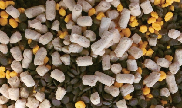 Hydroxytyrosol in Animal Feed